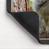 Graues Eichhörnchen auf einer Niederlassung Mousepad (Ecke)