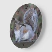 Graues Eichhörnchen auf großer runder Uhr (Winkel)