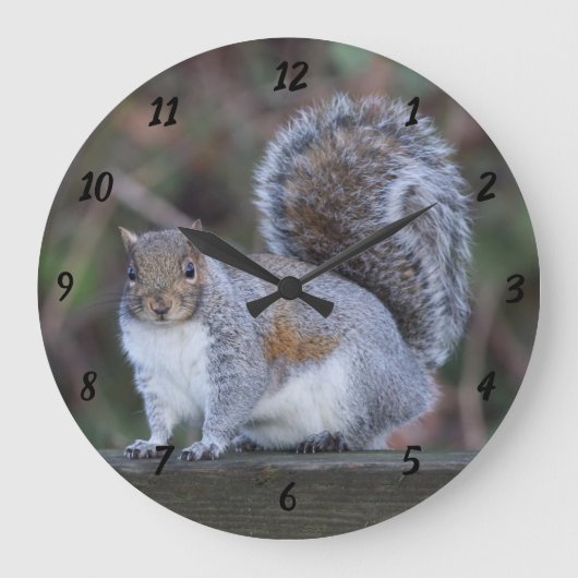 Graues Eichhörnchen auf großer runder Uhr (Vorderseite)
