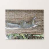 Graues Eichhörnchen auf Tree Trunk Puzzle (Horizontal)