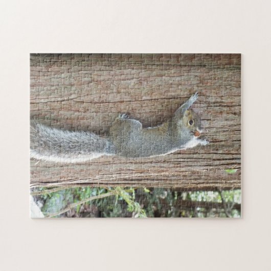 Graues Eichhörnchen auf Tree Trunk Puzzle (Horizontal)