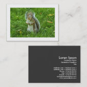 Graues Eichhörnchen (besetzt) Visitenkarte (Vorne/Hinten)