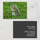 Graues Eichhörnchen, Bute Park, Cardiff Visitenkarte (Vorne/Hinten)