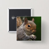 Graues Eichhörnchen Button (Vorne & Hinten)
