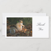 Graues Eichhörnchen - Danke (Vorderseite)