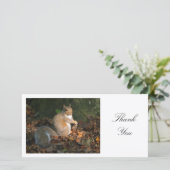 Graues Eichhörnchen - Danke (Stehend Vorderseite)