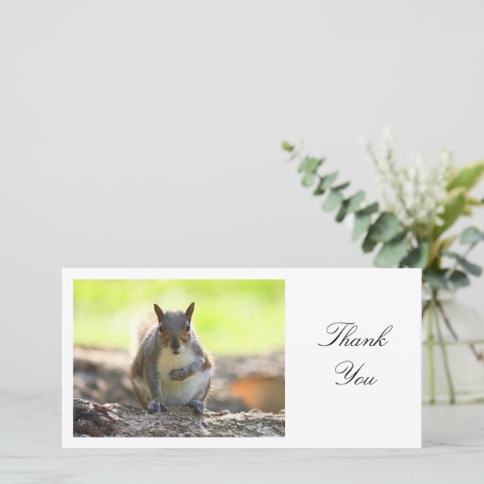 Graues Eichhörnchen - Danke (Stehend Vorderseite)