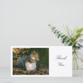 Graues Eichhörnchen - Danke (Stehend Vorderseite)