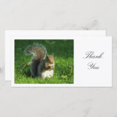 Graues Eichhörnchen - Danke (Vorne/Hinten)