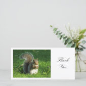 Graues Eichhörnchen - Danke (Stehend Vorderseite)