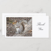 Graues Eichhörnchen - Danke (Vorne/Hinten)