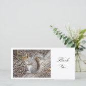 Graues Eichhörnchen - Danke (Stehend Vorderseite)