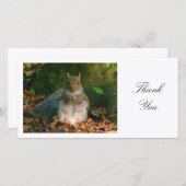 Graues Eichhörnchen - Danke (Vorne/Hinten)