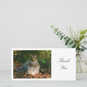 Graues Eichhörnchen - Danke (Stehend Vorderseite)