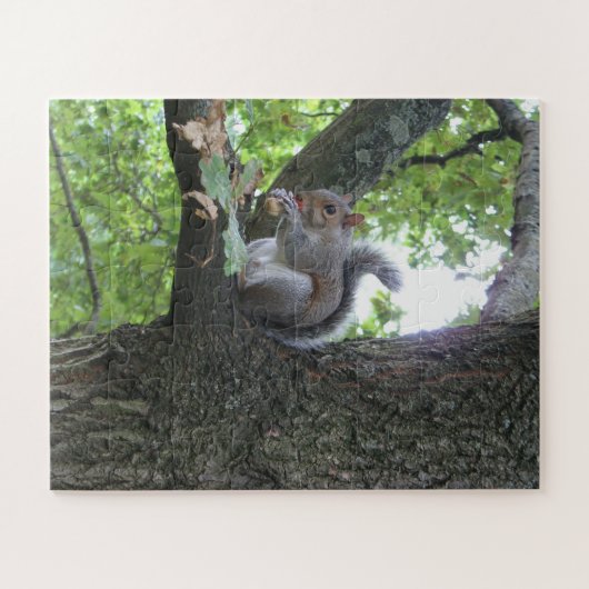 Graues Eichhörnchen, das in einer Eiche eine Eiche Puzzle (Horizontal)