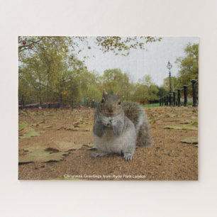 Graues Eichhörnchen Hyde Park London Puzzle