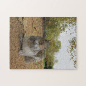 Graues Eichhörnchen im Hyde Park Puzzle (Horizontal)