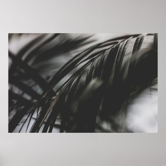 GRAUES FOTO DER PFLANZE BLÄTTER POSTER (Vorne)