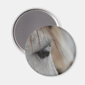 Graues Horse Eye Magnet (Vorderseite/Rückseite)