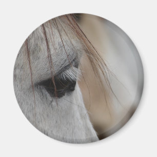 Graues Horse Eye Magnet