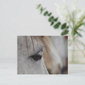Graues Horse Eye Postkarte (Stehend Vorderseite)
