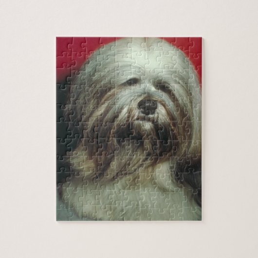 Graues Hundepuzzlespiel Lhasas Apso Puzzle (Vertikal)