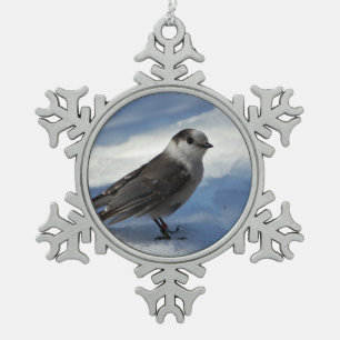 Graues Jay im Schnee Schneeflocken Zinn-Ornament