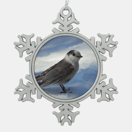 Graues Jay im Schnee Schneeflocken Zinn-Ornament (Vorderseite)
