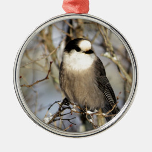 Graues Jay Ornament Aus Metall