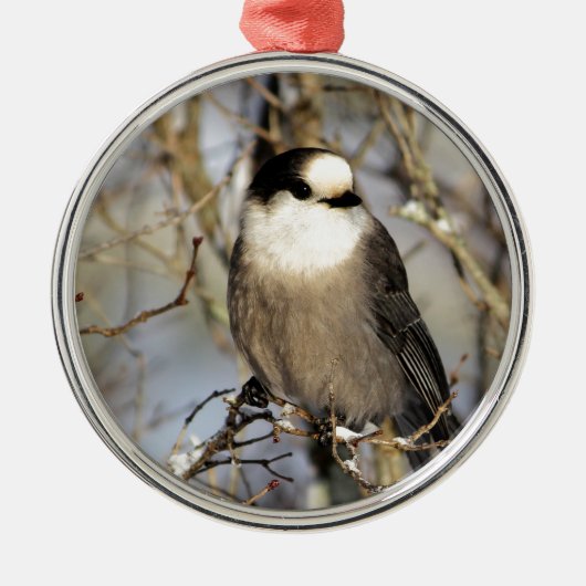 Graues Jay Ornament Aus Metall (Vorne)