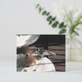 Graues Jay und Bell Postkarte (Stehend Vorderseite)