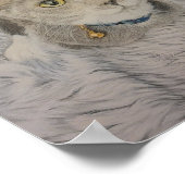 Graues Kätzchenposter Poster (Ecke)