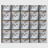 Graues Katzen-Packpapier Geschenkpapier (Flach)