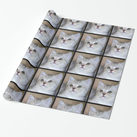 Graues Katzen-Packpapier Geschenkpapier (Ungerollt)