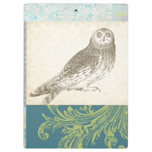 Graues Owl im Muster-Hintergrund Klemmbrett (Rückseite)