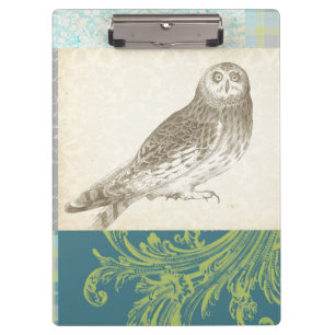 Graues Owl im Muster-Hintergrund Klemmbrett