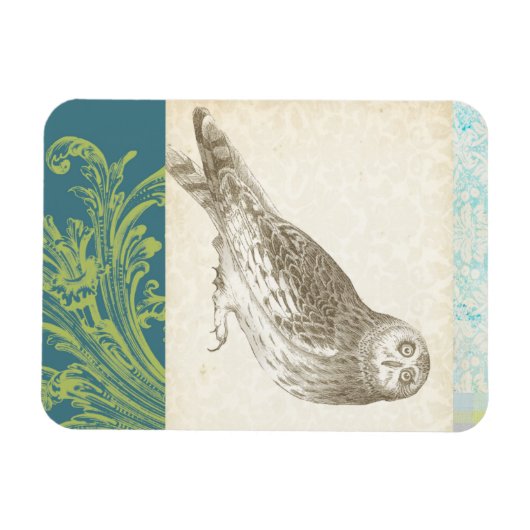 Graues Owl im Muster-Hintergrund Magnet (Horizontal)