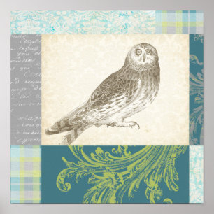 Graues Owl im Muster-Hintergrund Poster