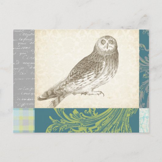 Graues Owl im Muster-Hintergrund Postkarte (Vorderseite)