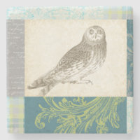 Graues Owl im Muster-Hintergrund