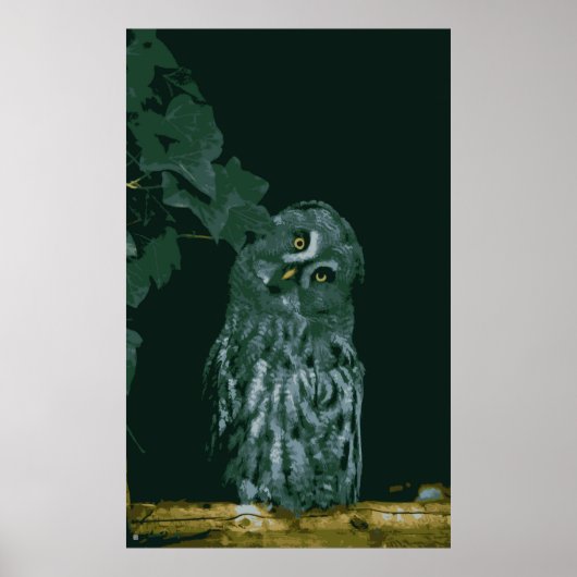 Graues Owl Poster (Vorne)
