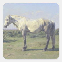Graues Pferd in einem Feld (von Rosa Bonheur)