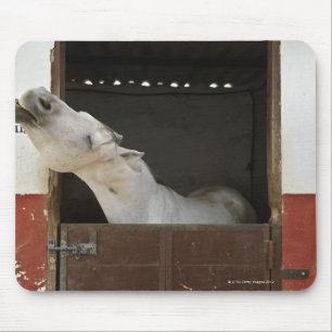 Graues Pferd in einem Stall Mousepad