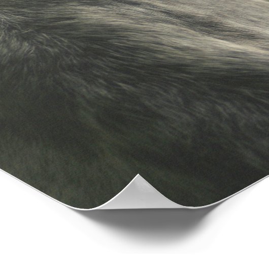 Graues Pferdeauge Poster (Ecke)