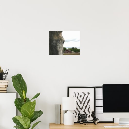 Graues Pferdeauge Poster (Heimbüro)