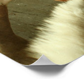 Graues Pferdeposter Poster (Ecke)