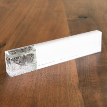 Graues Schmetterling Clour Bild -