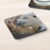 Graues Siegel auf Eis Getränkeuntersetzer (Linke Seite)