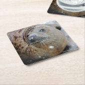 Graues Siegel auf Eis Rechteckiger Pappuntersetzer (angewinkelt)