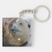 Graues Siegel auf Eis Schlüsselanhänger (Rückseite)